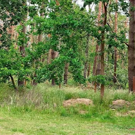 Ferienhaus“ Blaues Wunder“ Am Wasser Mit Grill *